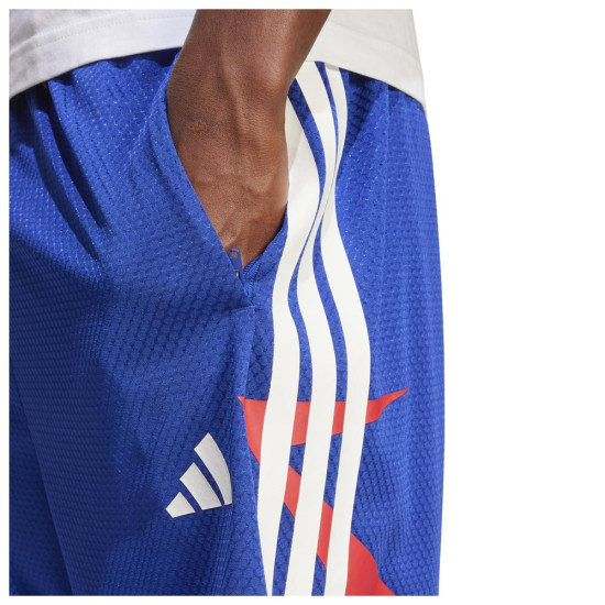 Adidas Ανδρικό σορτς House of Tiro Nations Pack Shorts